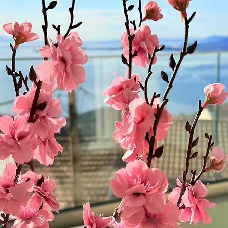 Casa Moureto - One Bedroom Sea View With Jacuzzi *