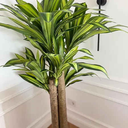 Casa Moureto - One Bedroom Sea View With Jacuzzi Spartylas