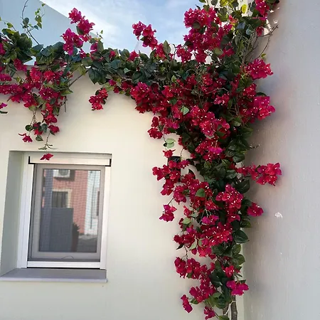 Casa Moureto - One Bedroom Sea View With Jacuzzi Spartylas